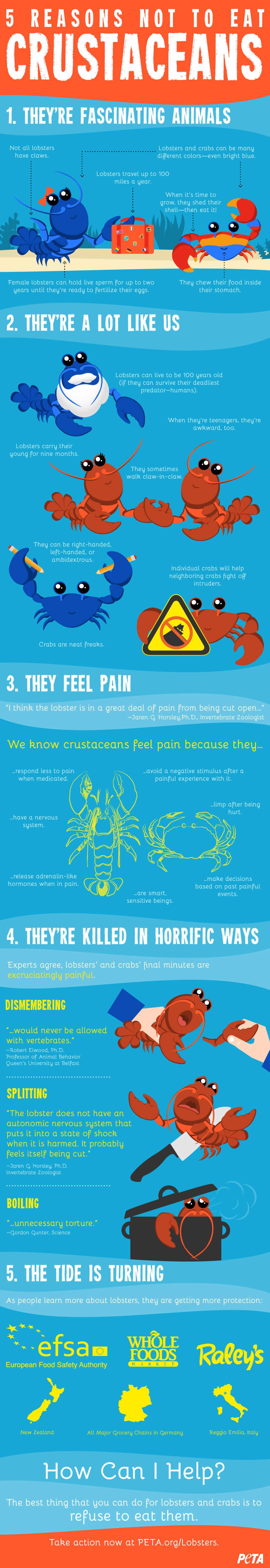 Lobster-crab-pain-infographic