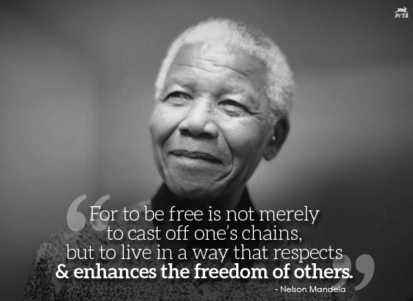 Nelson Mandela Quote