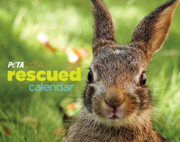 PETA Rescue Calendar