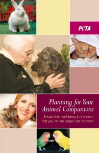 Ensure the well-being in the event you can no longer care for them.