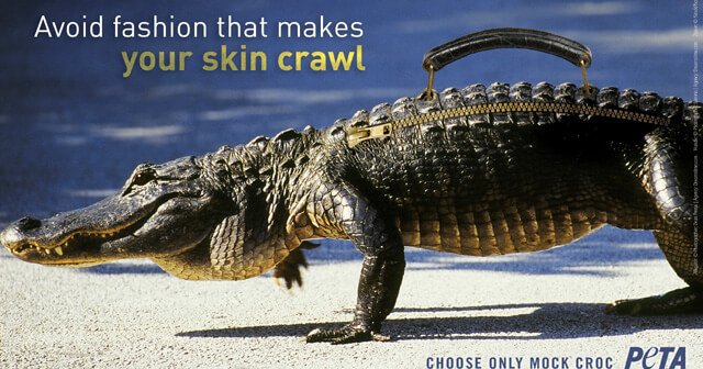 Crocodile’s Revenge