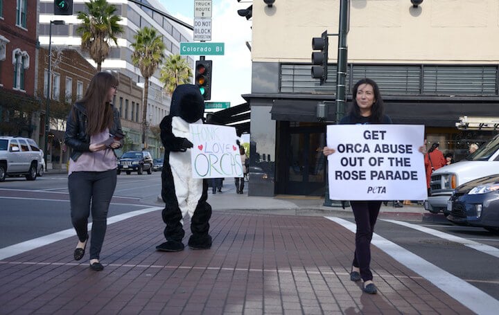 SeaWorld Float Protest in Pasadena