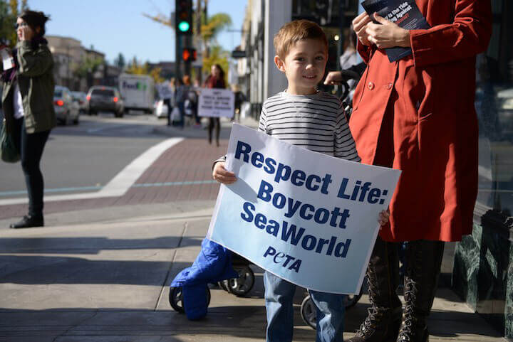 Young Boy Protests SeaWorld Float