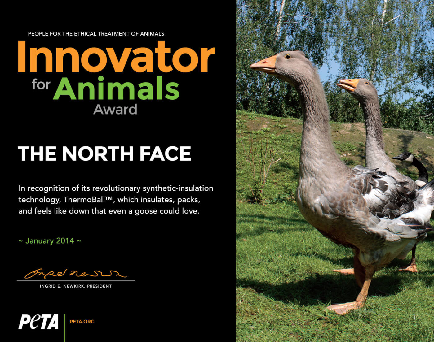 Face Forward and Snags a PETA Award 