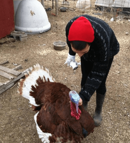 Katerina and a turkey