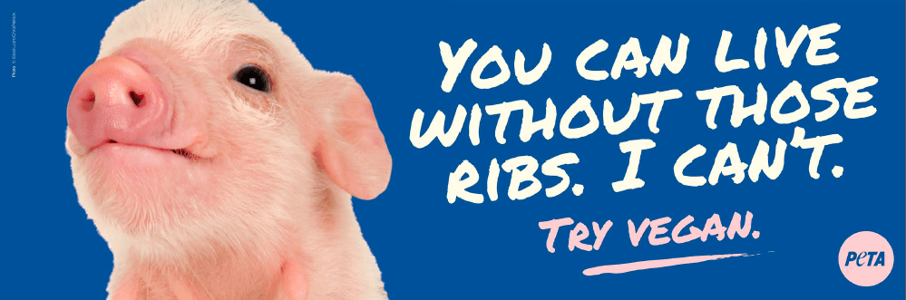 You Can Live Without Those Ribs—I Can't.' New Billboard Campaign | PETA