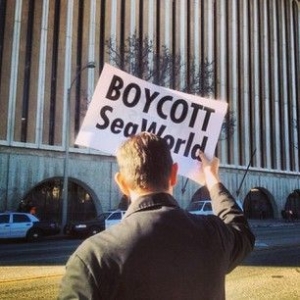 Boycott Seaworld Pasadena