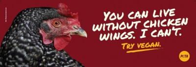 Chicken Outdoor Billboard, Chicken Dick video supplemental image