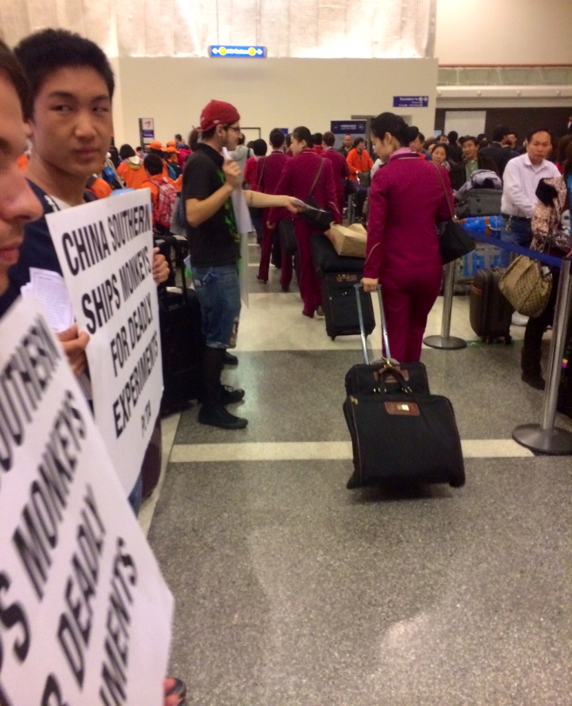 China Southern Protest at LAX (3)