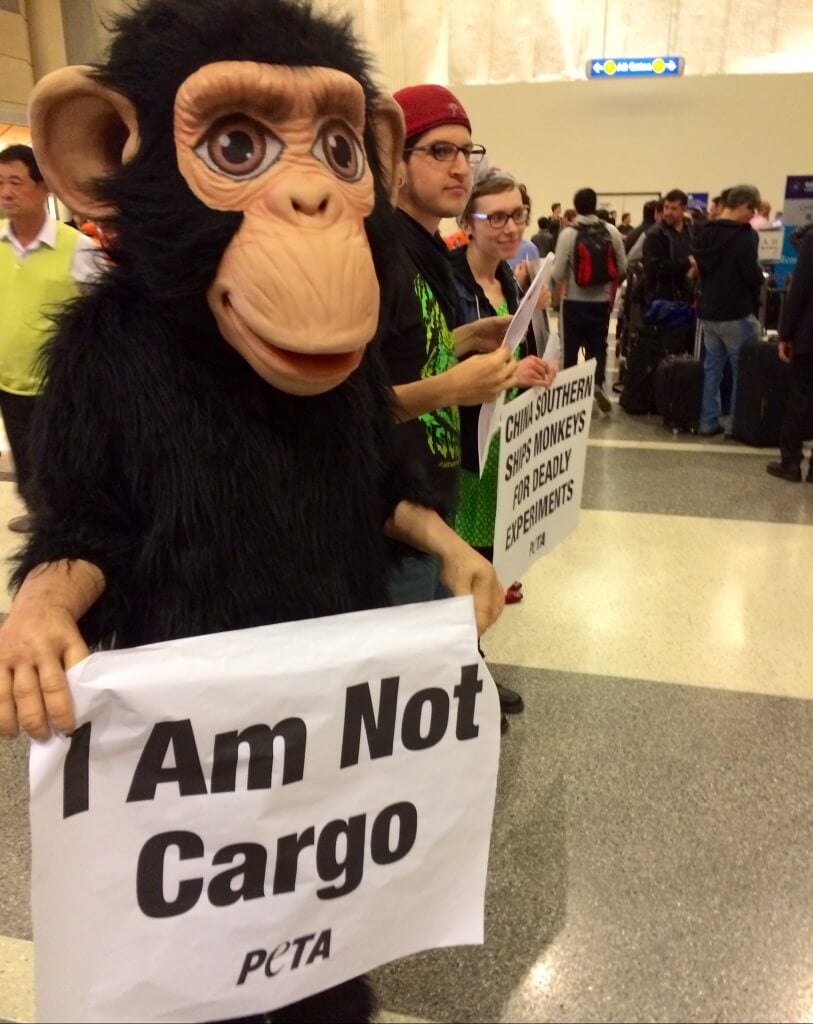 China Southern Protest at LAX (4)