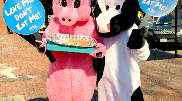 animal advocates dressed as a pig and a cow, holding signs that say "Love Me, Don't Eat Me"