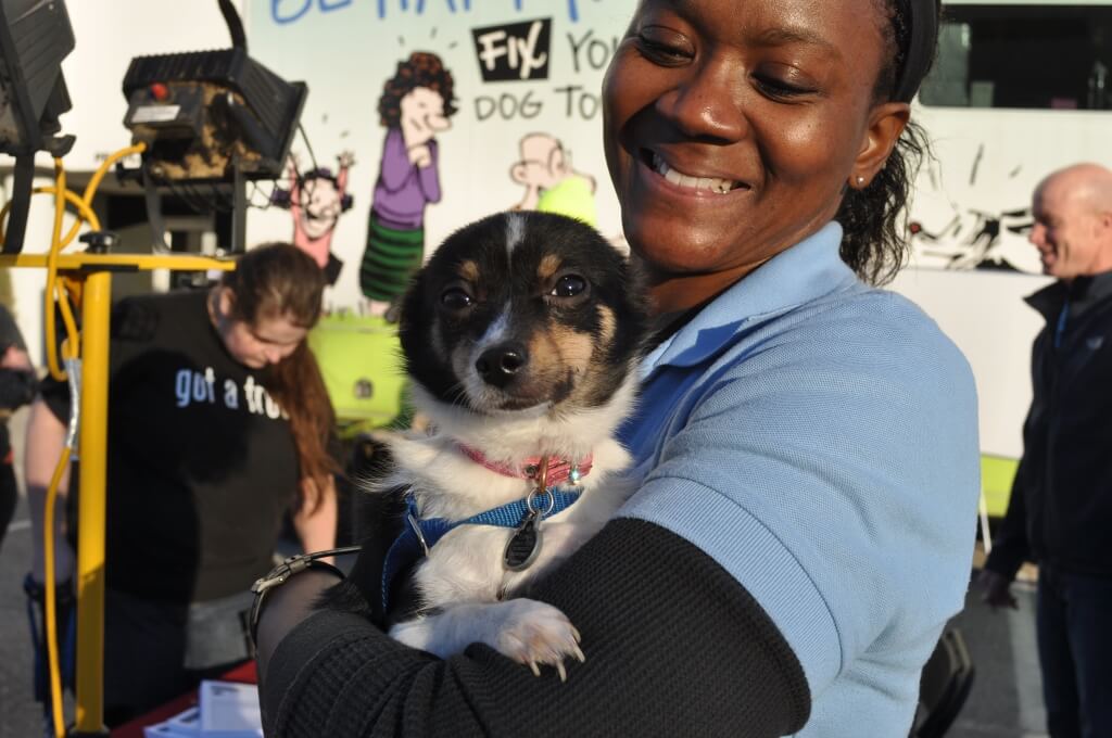 reputable animal shelters spay and neuter animals before adopting them out