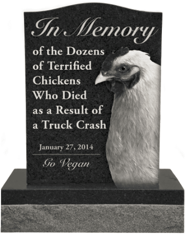 Gainesville Chicken Memorial