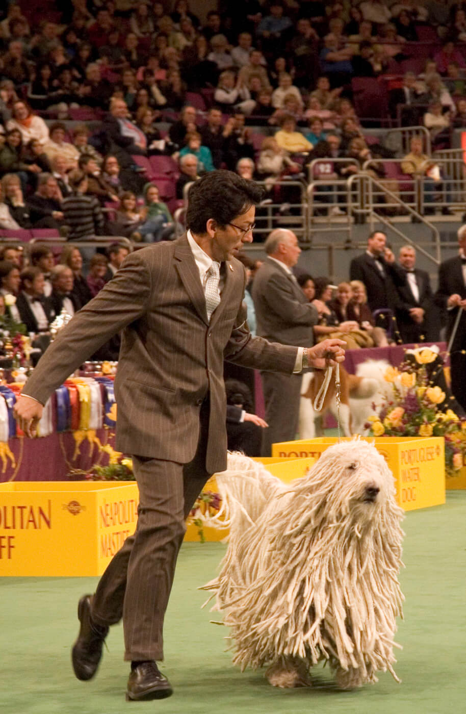 Westminster Dog Show Home Page Westminster Dog Show Home Page