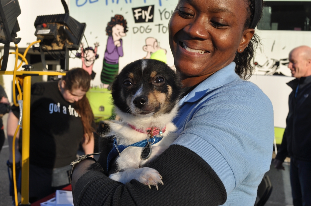 PETA Spayathon 2014 (4)