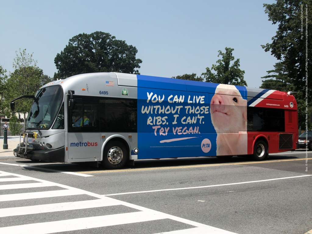 You Can Live Without Your Ribs - Bus Ad