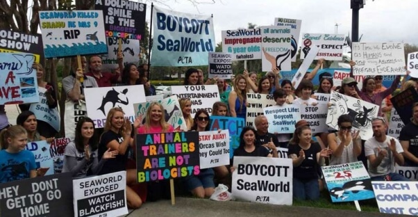 SeaWorld Orlando Demo 2-22-14