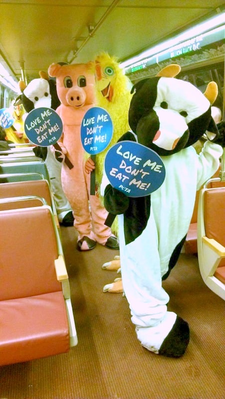 Vegan Cow, Pig, Chicken on DC subway
