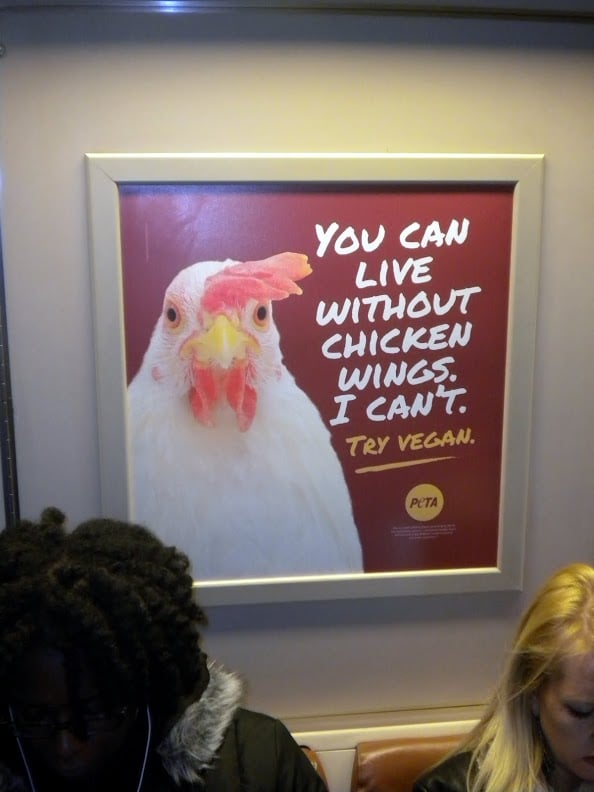 You Can Live Without Chicken Wings