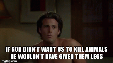 Killing Animals Logic