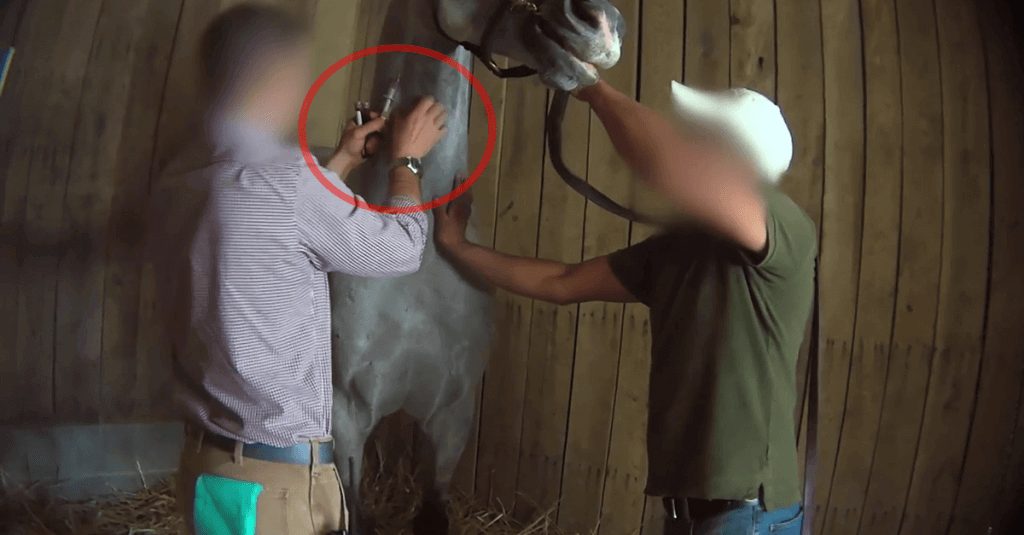 Horse Racing Investigation Circled Injection Thumb