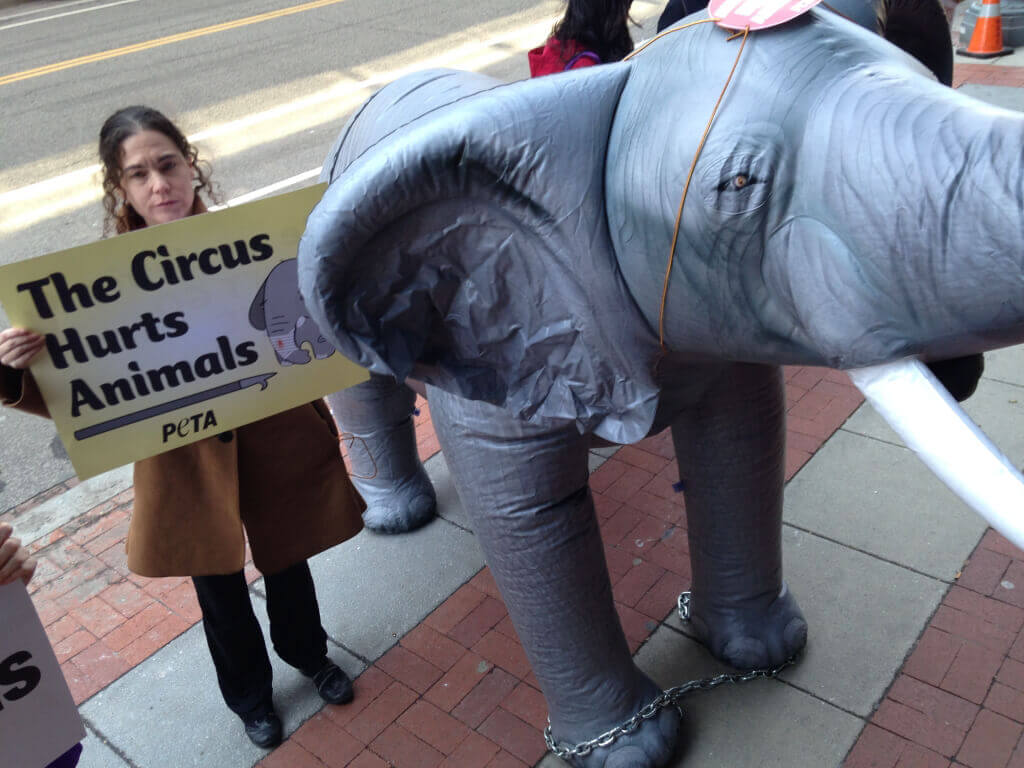 DC Ringling Bros. Demonstration with Inflatable Elephant