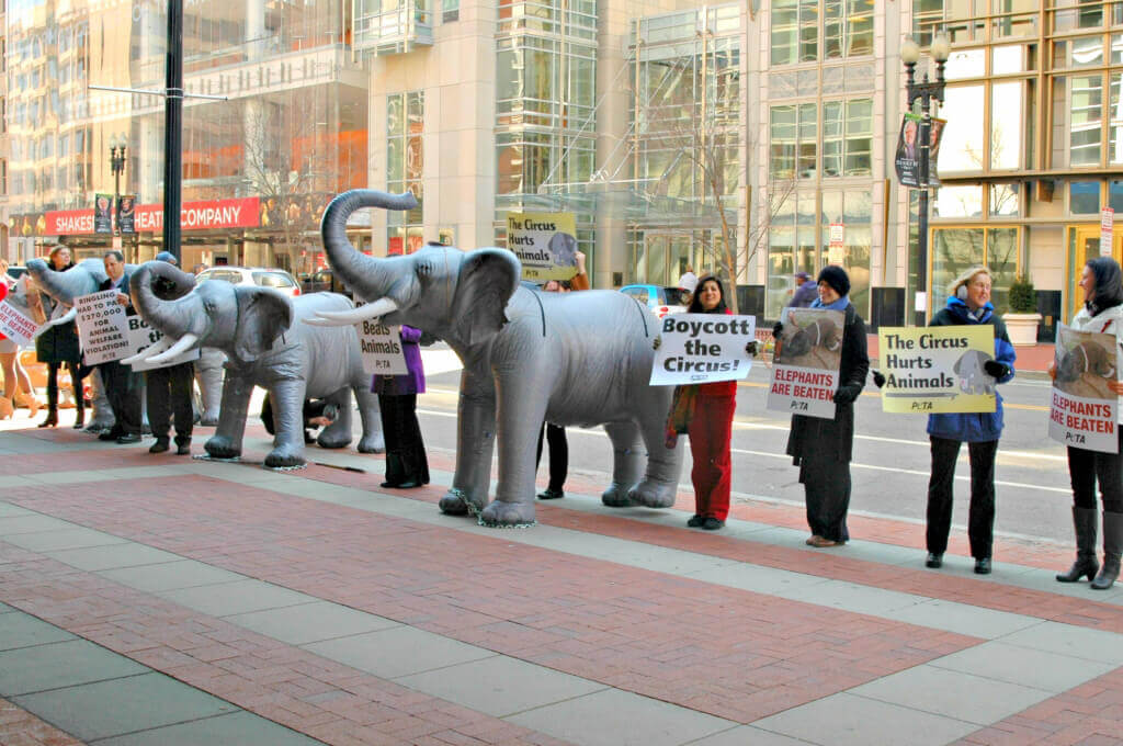 DC Ringling Bros. Demonstration with Ingrid Newkirk