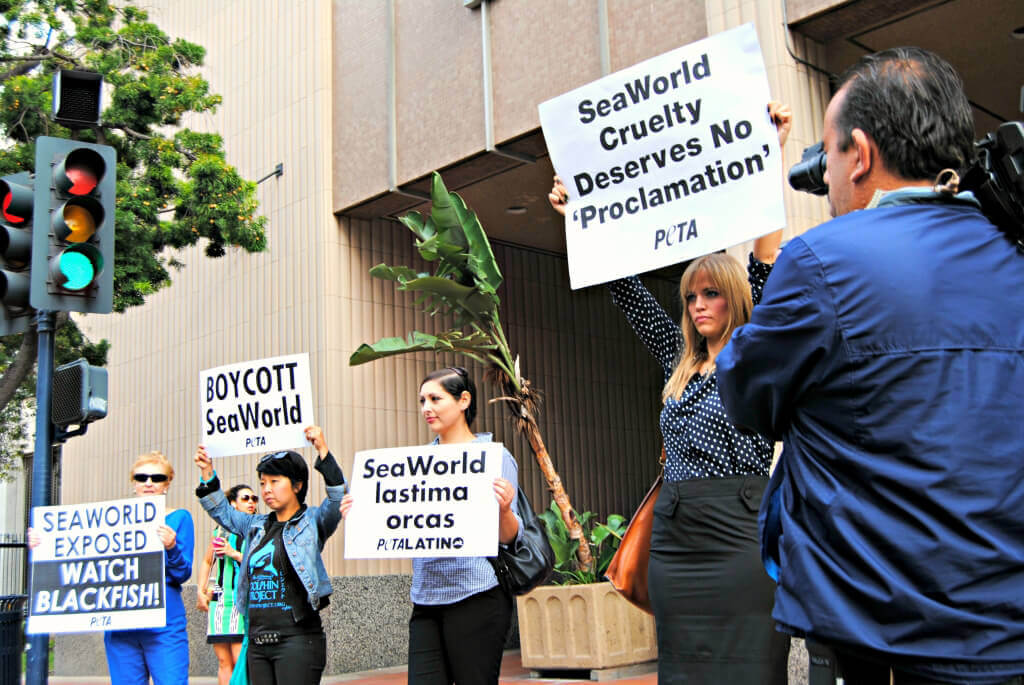 San Diego SeaWorld city hall protest