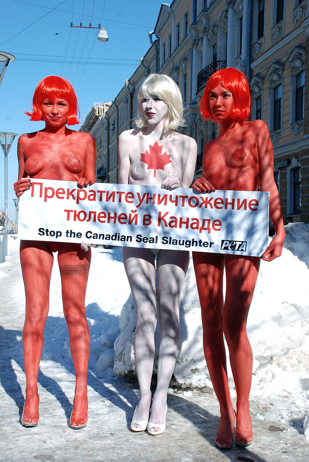 St Petersburg Russian Federation Demo
