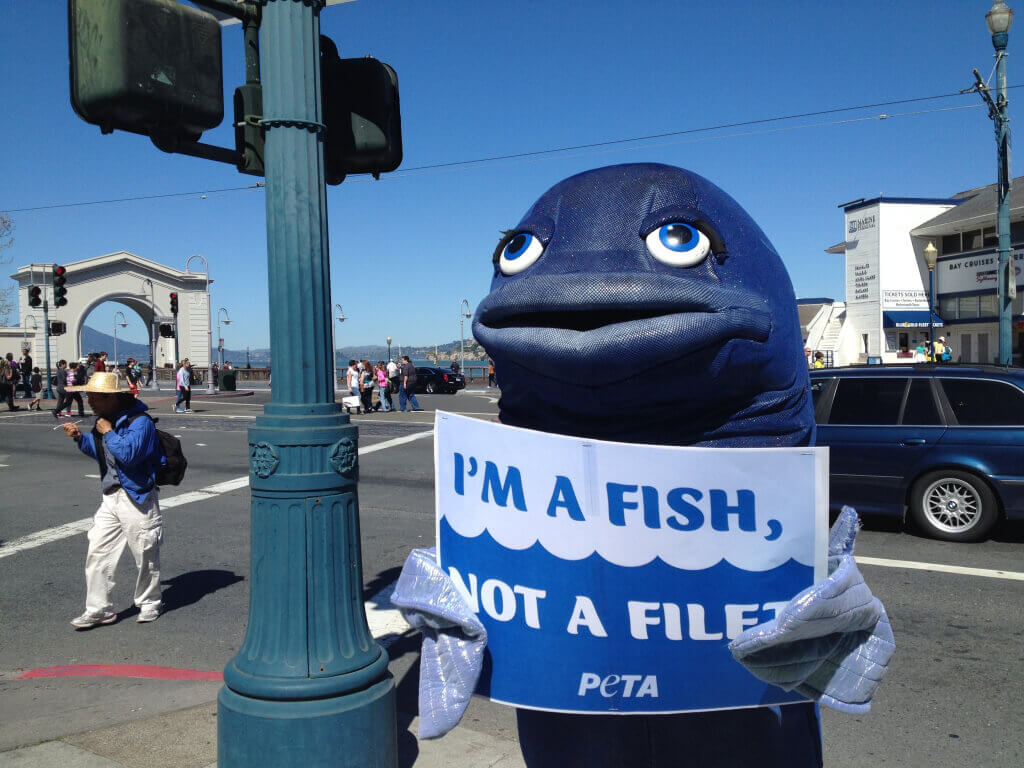 Tiffany Tuna in San Fransisco (3)