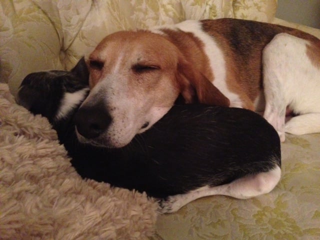 Maxine and Friend