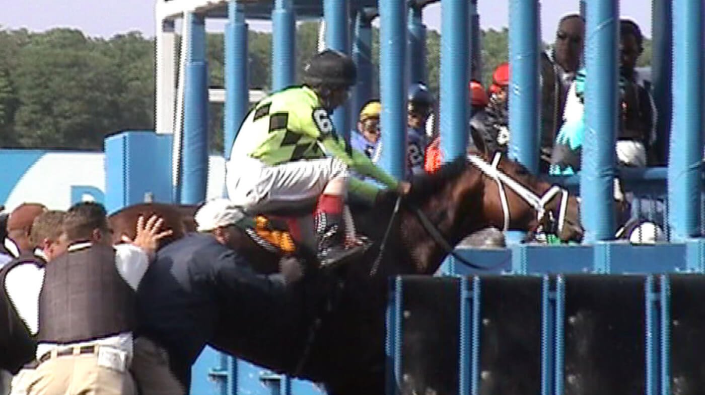 horse racing exposed in peta investigation
