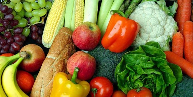 Free Vegan Food for All: The Toronto Vegetarian Food Bank
