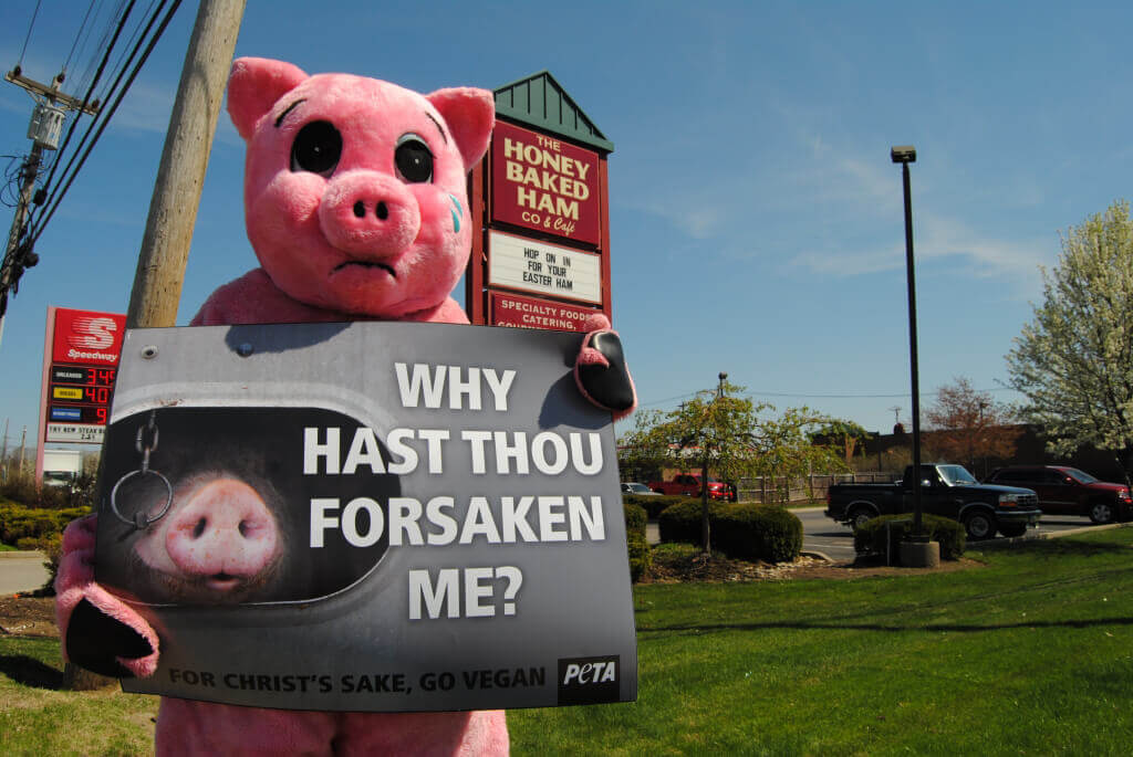 Honeybaked Ham Sad Pig Demo