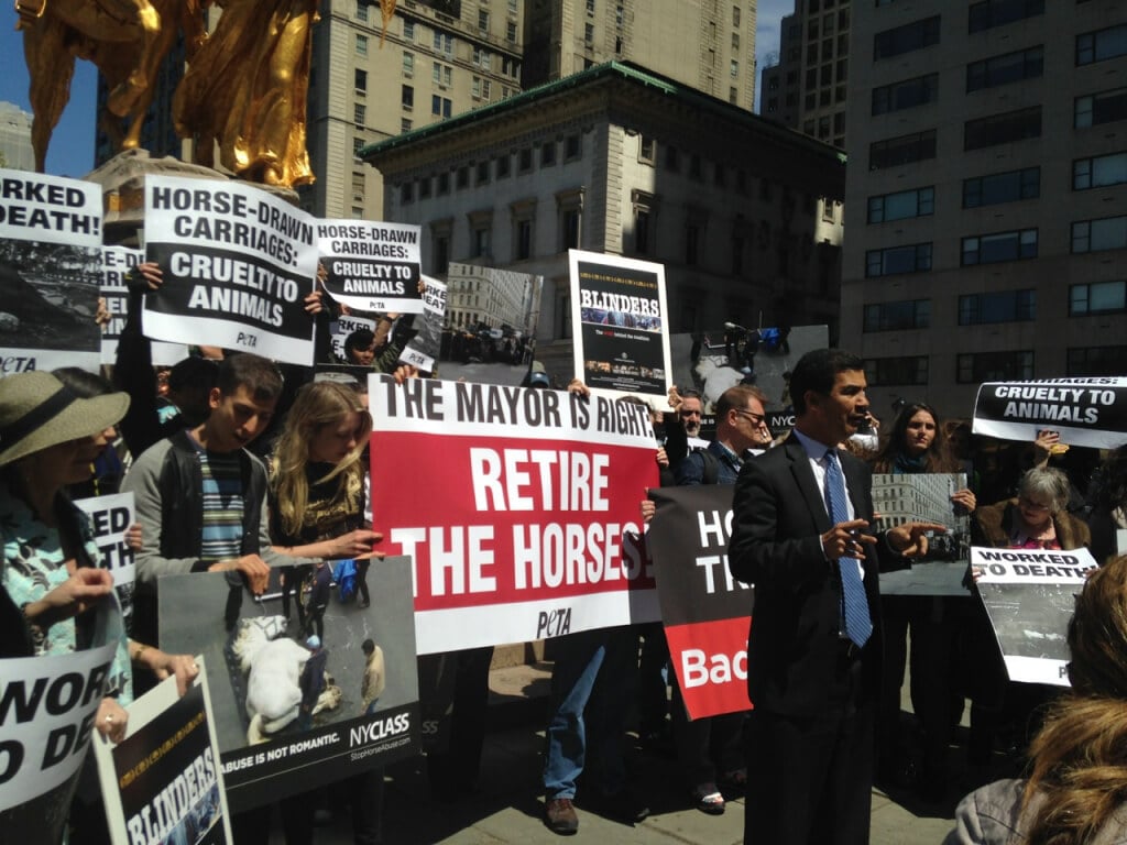 Horse-Drawn Carriage Demonstration in New York City