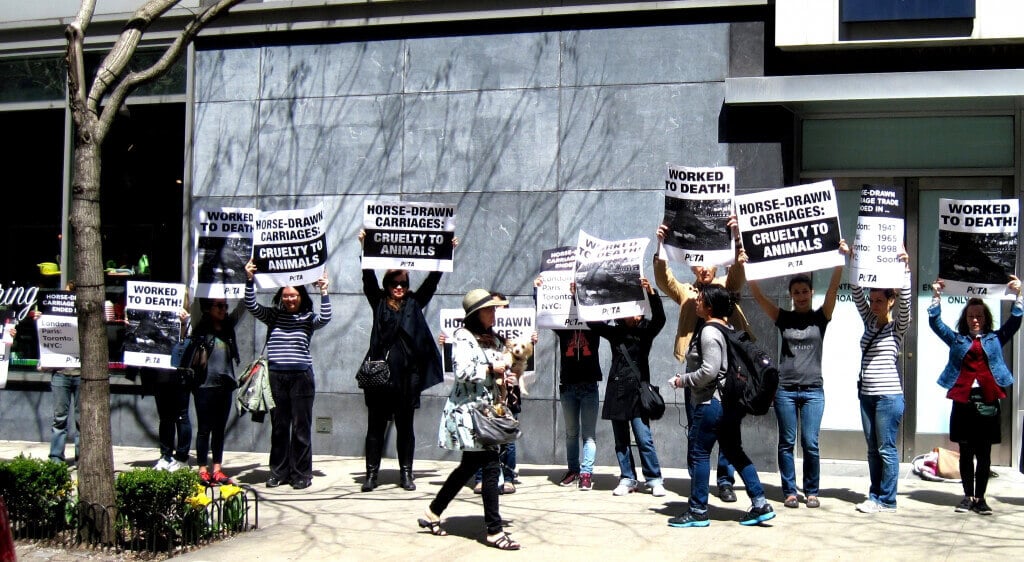 New York Horse-Drawn Carriage Protest in front of Liam Neeson's Apartment (1)