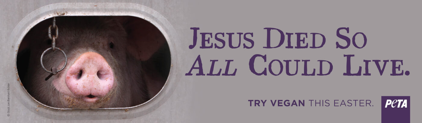 PETA Easter Billboard, Jesus Died So All Could Live