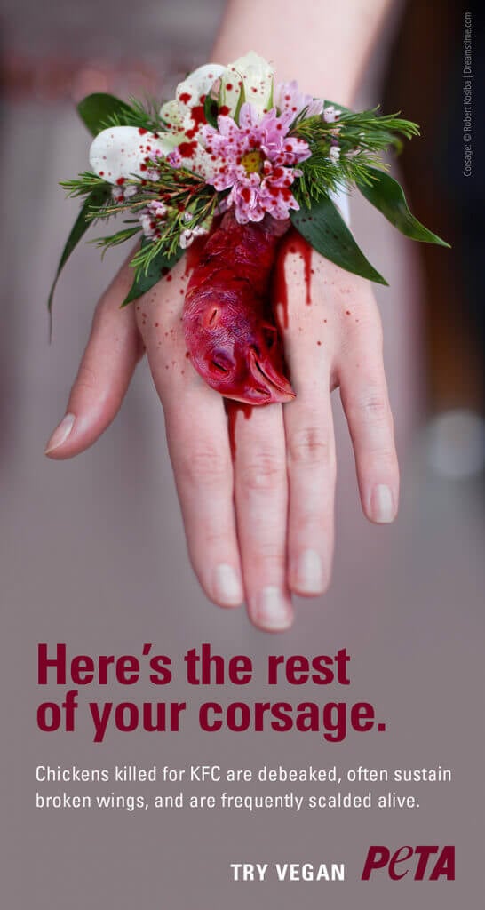 PETA Chicken Corsage