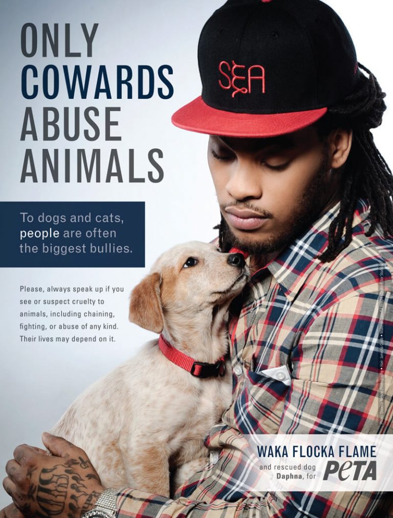 Animal Abuse and Human Abuse Partners in Crime PETA