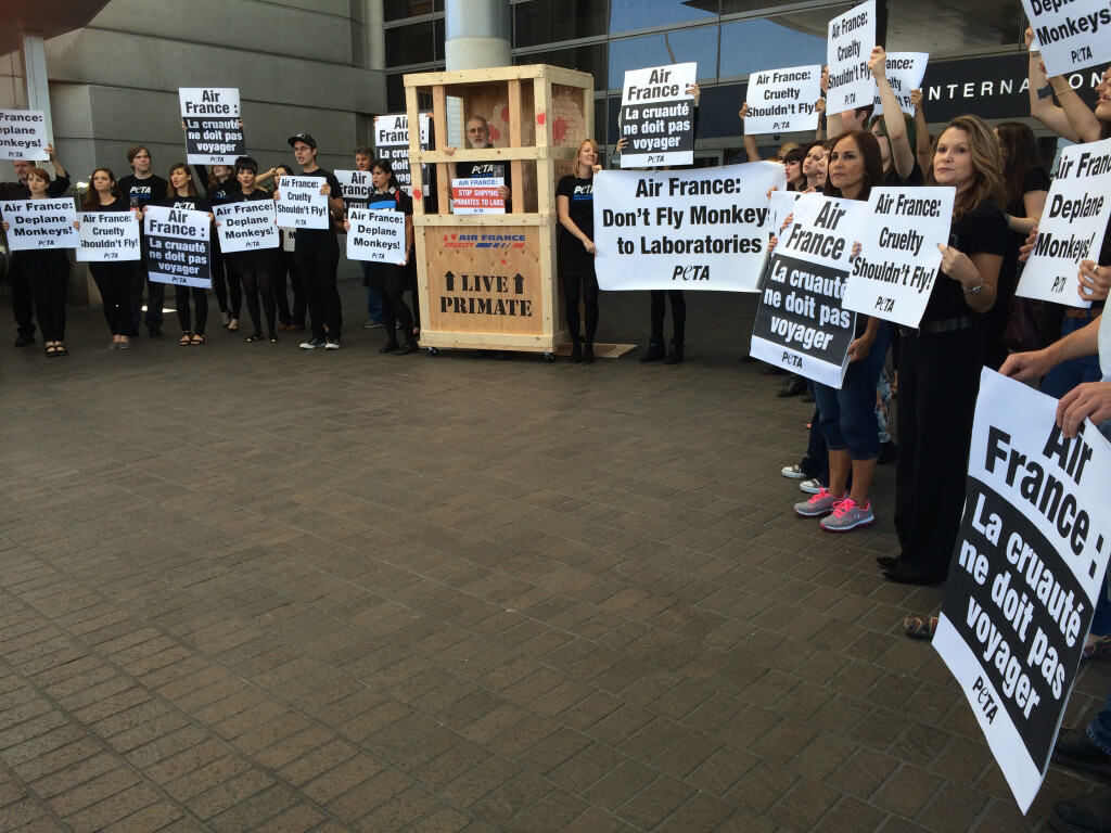 James Cromwell Air France Demo at LAX