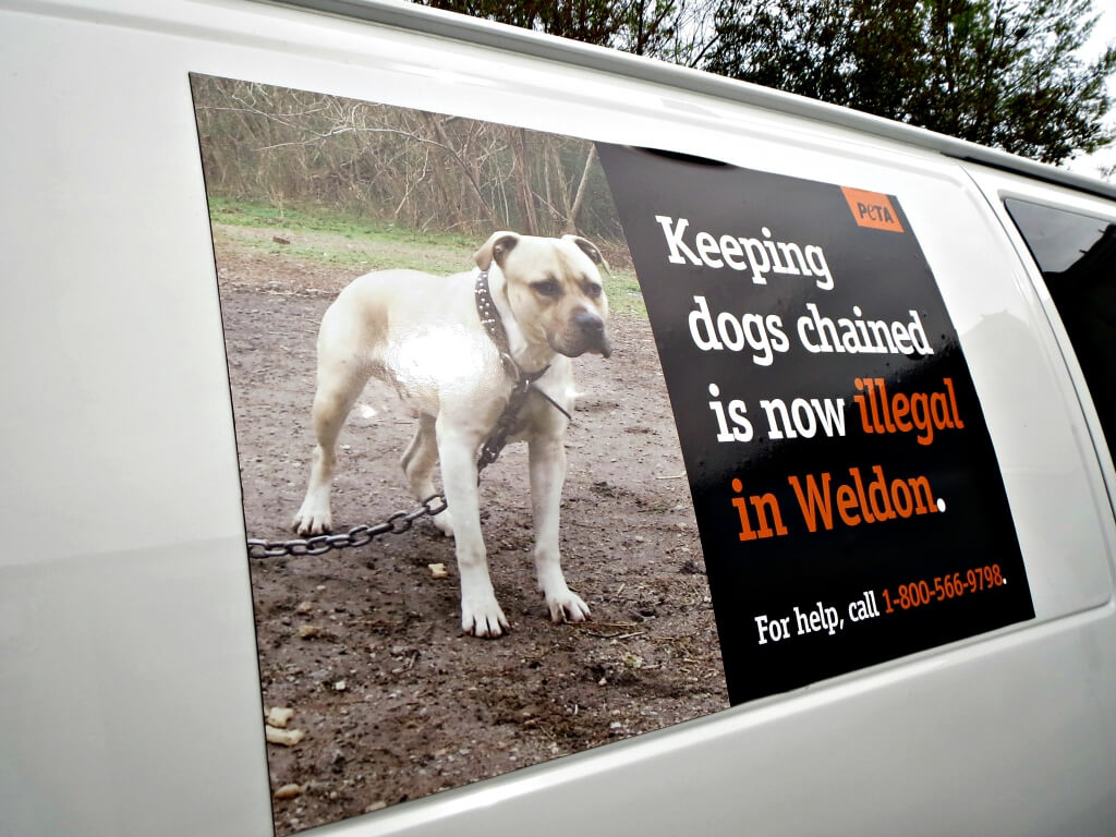 Weldon, NC Anti-Chaining Van Magnets