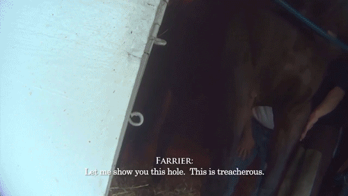Undercover Footage of Horse Trainers Discussing Superglue