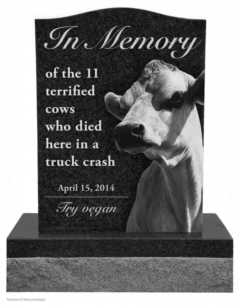 Cow Tombstone