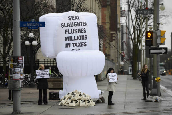Canadian Toilet Demonstration against the Seal Slaughter