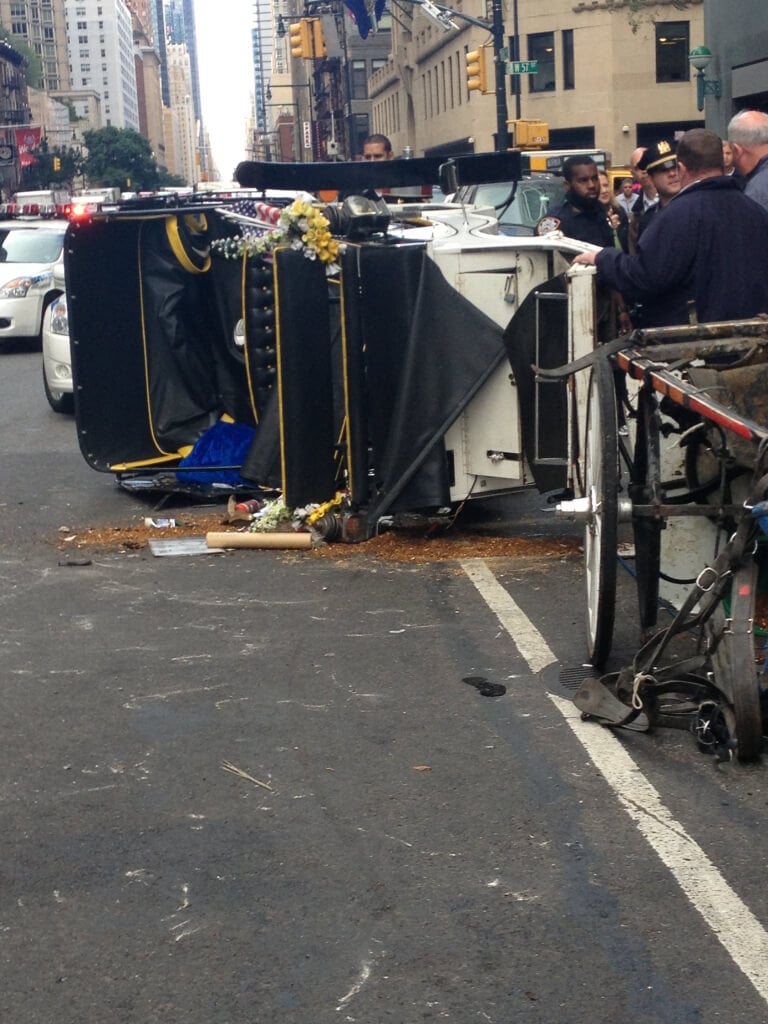 Horse-Drawn Carriage Overturned