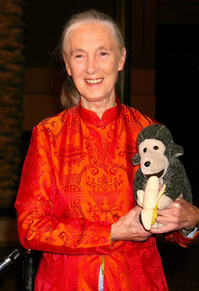 Jane Goodall