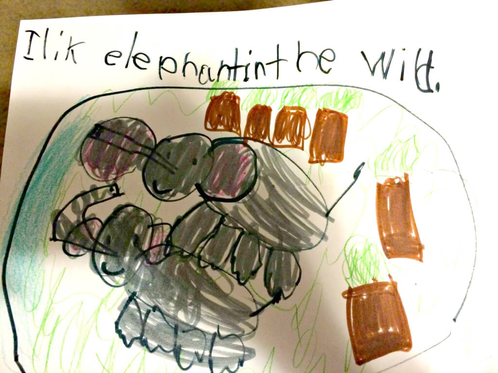 Karina draws elephants