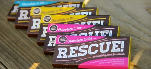 vegan candy bars in colorful packaging