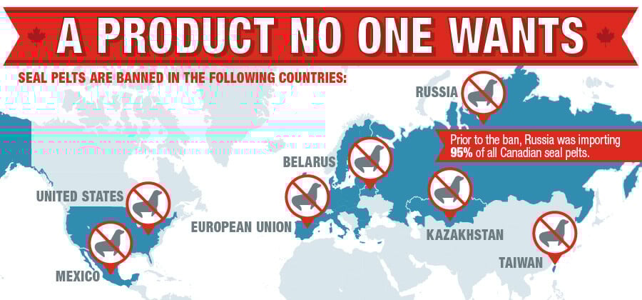 Countries Where Seal Pelts Are Banned