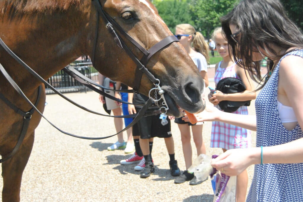 Horse Visits White House Eat Your Veggies Day Demo